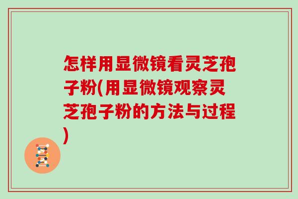 怎样用显微镜看灵芝孢子粉(用显微镜观察灵芝孢子粉的方法与过程)
