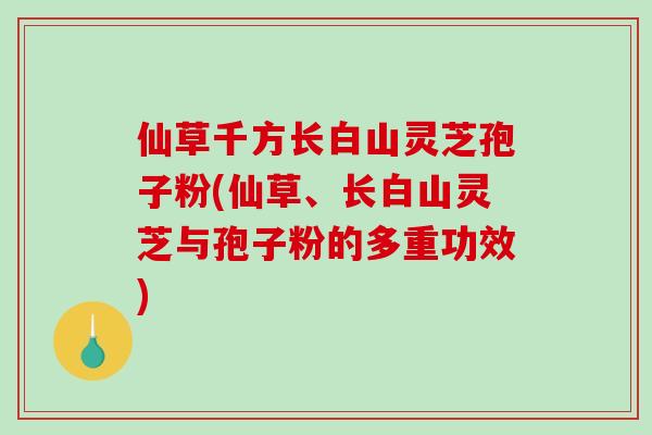 仙草千方长白山灵芝孢子粉(仙草、长白山灵芝与孢子粉的多重功效)