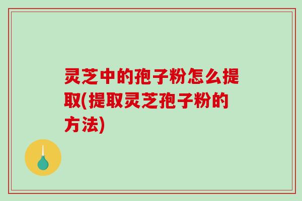 灵芝中的孢子粉怎么提取(提取灵芝孢子粉的方法)