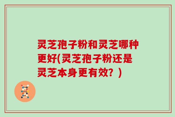 灵芝孢子粉和灵芝哪种更好(灵芝孢子粉还是灵芝本身更有效？)