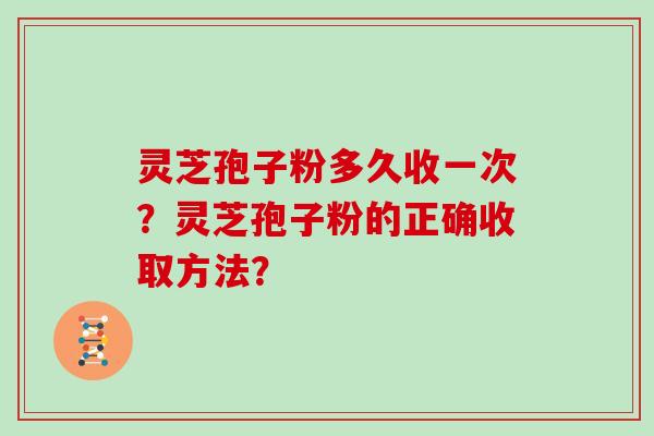 灵芝孢子粉多久收一次?灵芝孢子粉的正确收取方法? 灵芝孢子粉多久收一次?灵芝孢子粉的正确收取方法?