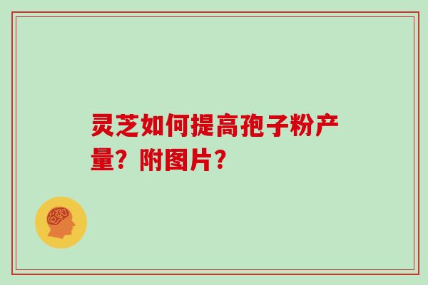 灵芝如何提高孢子粉产量？附图片？