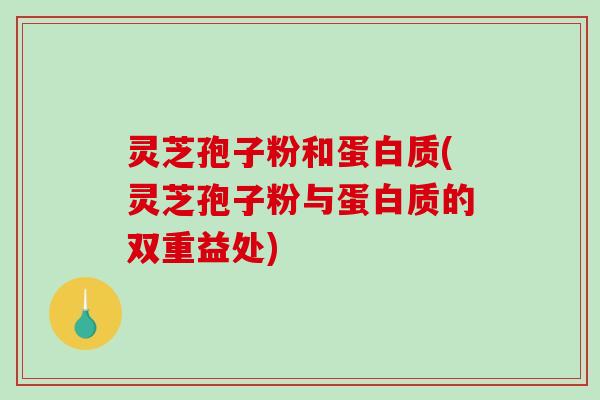 灵芝孢子粉和蛋白质(灵芝孢子粉与蛋白质的双重益处)