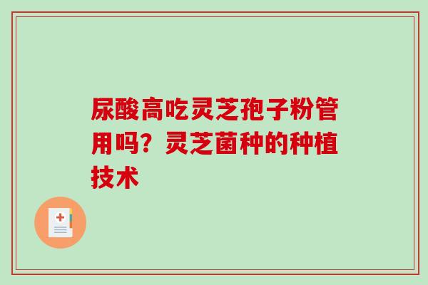 尿酸高吃灵芝孢子粉管用吗?灵芝菌种的种植技术 尿酸高吃灵芝孢子粉管用吗?灵芝菌种的种植技术