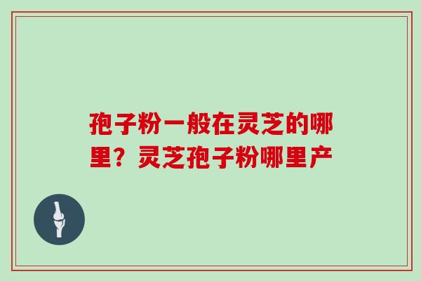 孢子粉一般在灵芝的哪里？灵芝孢子粉哪里产