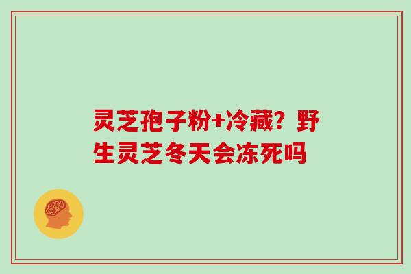 灵芝孢子粉+冷藏?野生灵芝冬天会冻死吗 灵芝孢子粉+冷藏?野生灵芝冬天会冻死吗