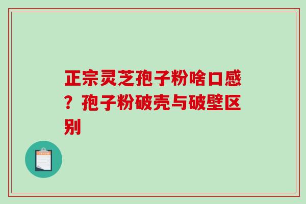 正宗灵芝孢子粉啥口感？孢子粉破壳与破壁区别