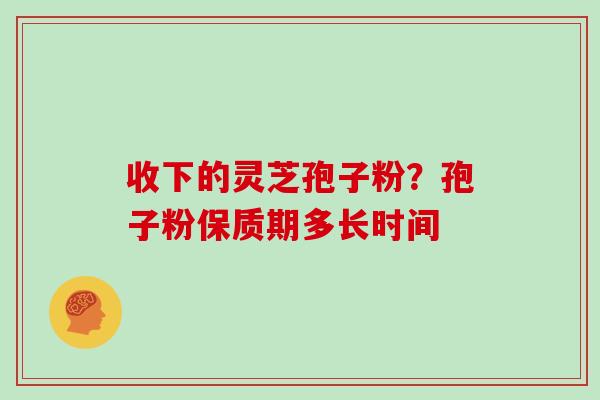 收下的灵芝孢子粉?孢子粉保质期多长时间 收下的灵芝孢子粉?孢子粉保质期多长时间