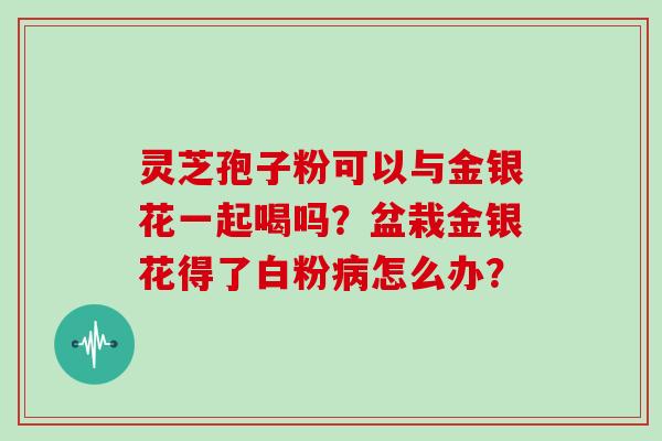 灵芝孢子粉可以与金银花一起喝吗?盆栽金银花得了白粉怎么办? 灵芝孢子粉可以与金银花一起喝吗?盆栽金银花得了白粉怎么办?