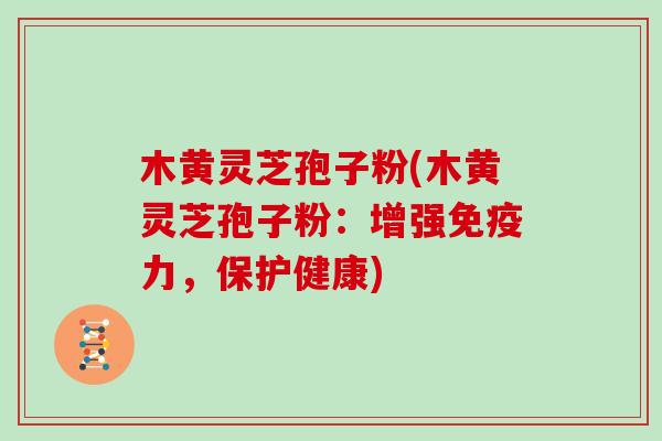 木黄灵芝孢子粉(木黄灵芝孢子粉:增强免疫力,保护健康) 木黄灵芝孢子粉(木黄灵芝孢子粉:增强免疫力,保护健康)