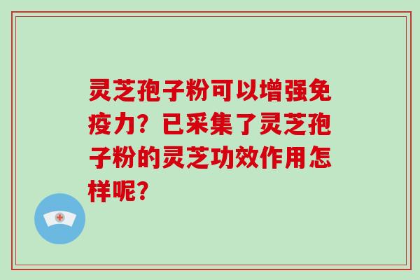 灵芝孢子粉可以增强免疫力?已采集了灵芝孢子粉的灵芝功效作用怎样呢? 灵芝孢子粉可以增强免疫力?已采集了灵芝孢子粉的灵芝功效作用怎样呢?