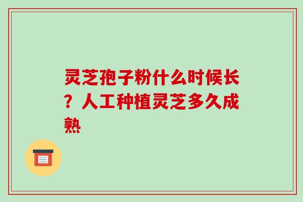 灵芝孢子粉什么时候长?人工种植灵芝多久成熟 灵芝孢子粉什么时候长?人工种植灵芝多久成熟