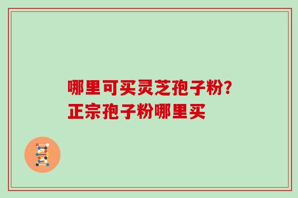 哪里可买灵芝孢子粉？正宗孢子粉哪里买