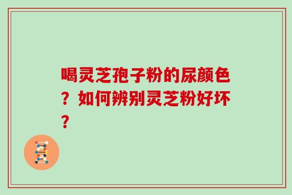 喝灵芝孢子粉的尿颜色?如何辨别灵芝粉好坏? 喝灵芝孢子粉的尿颜色?如何辨别灵芝粉好坏?