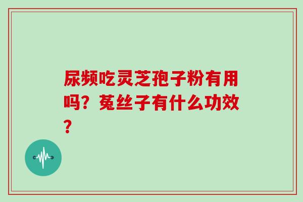 尿频吃灵芝孢子粉有用吗?菟丝子有什么功效? 尿频吃灵芝孢子粉有用吗?菟丝子有什么功效?