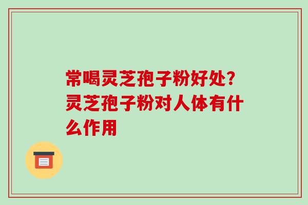 常喝灵芝孢子粉好处?灵芝孢子粉对人体有什么作用 常喝灵芝孢子粉好处?灵芝孢子粉对人体有什么作用