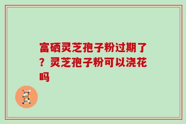 富硒灵芝孢子粉过期了？灵芝孢子粉可以浇花吗