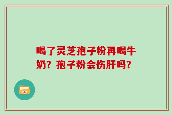 喝了灵芝孢子粉再喝牛奶?孢子粉会伤吗? 喝了灵芝孢子粉再喝牛奶?孢子粉会伤吗?
