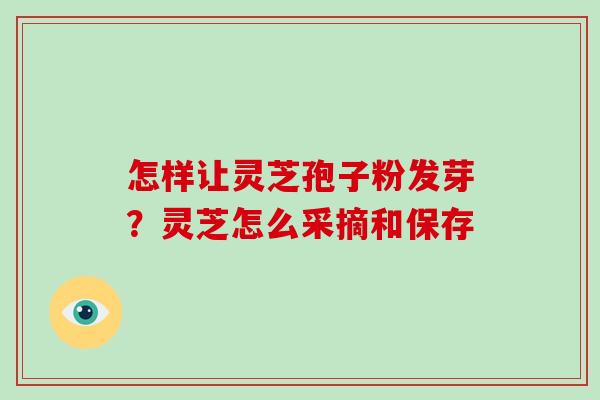 怎样让灵芝孢子粉发芽?灵芝怎么采摘和保存 怎样让灵芝孢子粉发芽?灵芝怎么采摘和保存