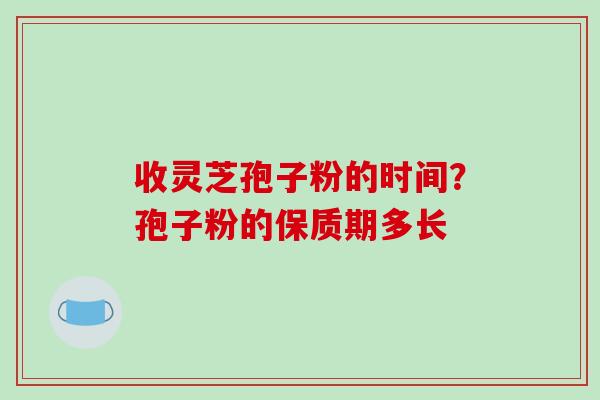 收灵芝孢子粉的时间?孢子粉的保质期多长 收灵芝孢子粉的时间?孢子粉的保质期多长
