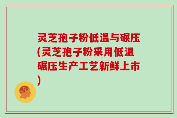 灵芝孢子粉低温与碾压(灵芝孢子粉采用低温碾压生产工艺新鲜上市) 灵芝孢子粉低温与碾压(灵芝孢子粉采用低温碾压生产工艺新鲜上市)
