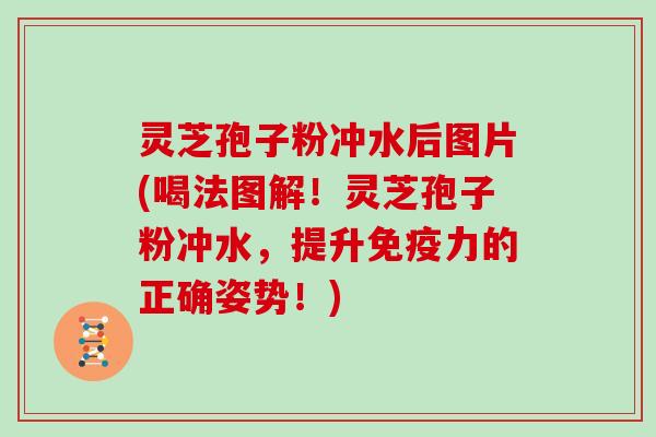 灵芝孢子粉冲水后图片(喝法图解!灵芝孢子粉冲水,提升免疫力的正确姿势!) 灵芝孢子粉冲水后图片(喝法图解!灵芝孢子粉冲水,提升免疫力的正确姿势!)