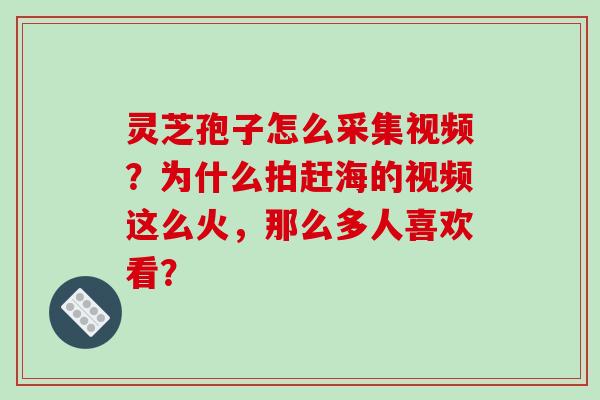 灵芝孢子怎么采集视频?为什么拍赶海的视频这么火,那么多人喜欢看? 灵芝孢子怎么采集视频?为什么拍赶海的视频这么火,那么多人喜欢看?
