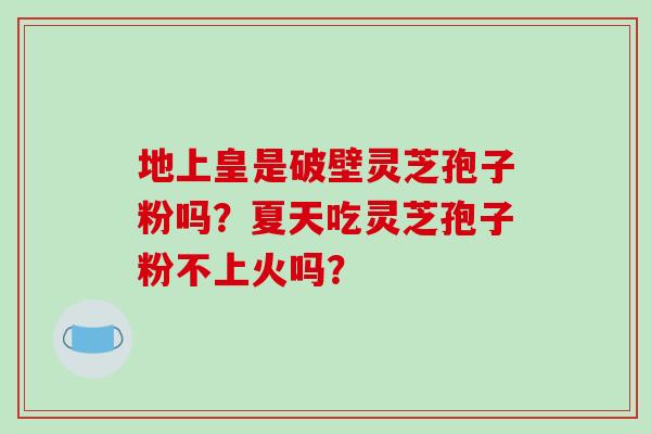地上皇是破壁灵芝孢子粉吗?夏天吃灵芝孢子粉不上火吗? 地上皇是破壁灵芝孢子粉吗?夏天吃灵芝孢子粉不上火吗?