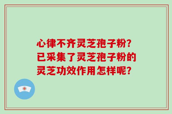 心律不齐灵芝孢子粉?已采集了灵芝孢子粉的灵芝功效作用怎样呢? 心律不齐灵芝孢子粉?已采集了灵芝孢子粉的灵芝功效作用怎样呢?