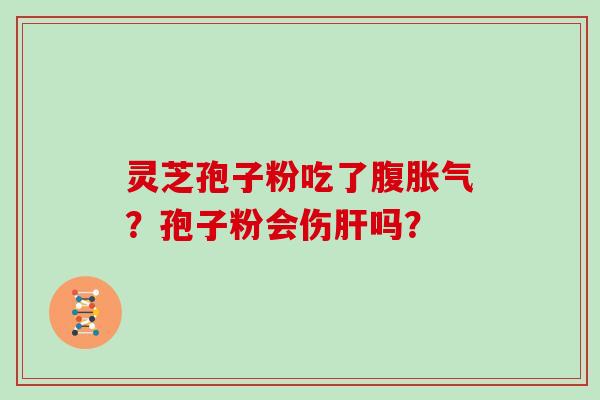灵芝孢子粉吃了腹胀气?孢子粉会伤吗? 灵芝孢子粉吃了腹胀气?孢子粉会伤吗?