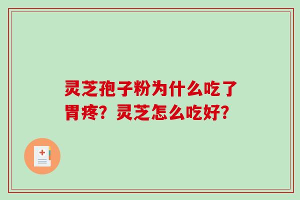 灵芝孢子粉为什么吃了胃疼？灵芝怎么吃好？
