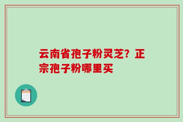 云南省孢子粉灵芝？正宗孢子粉哪里买