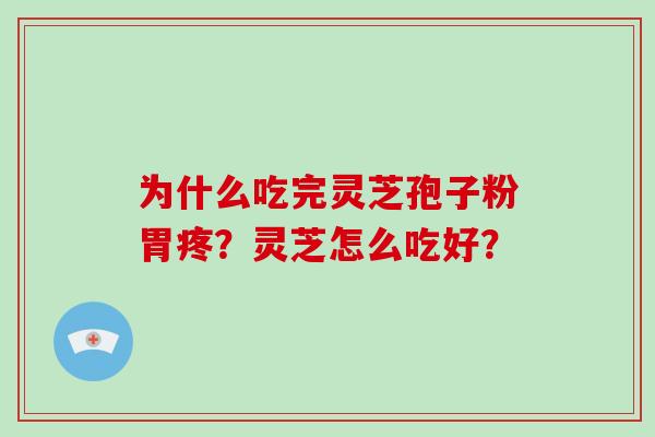 为什么吃完灵芝孢子粉胃疼？灵芝怎么吃好？