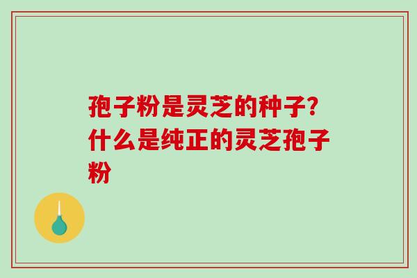 孢子粉是灵芝的种子？什么是纯正的灵芝孢子粉