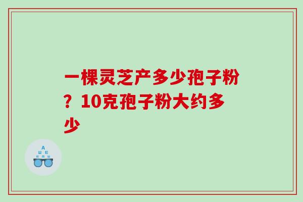 一棵灵芝产多少孢子粉？10克孢子粉大约多少