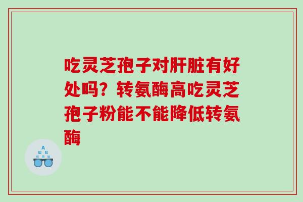 吃灵芝孢子对有好处吗？转氨酶高吃灵芝孢子粉能不能降低转氨酶