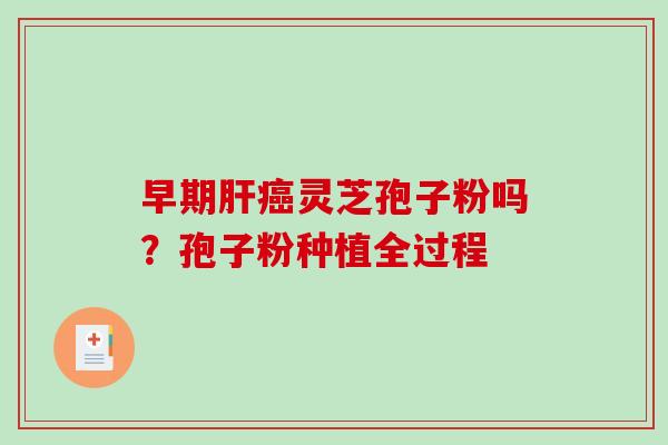 早期灵芝孢子粉吗？孢子粉种植全过程