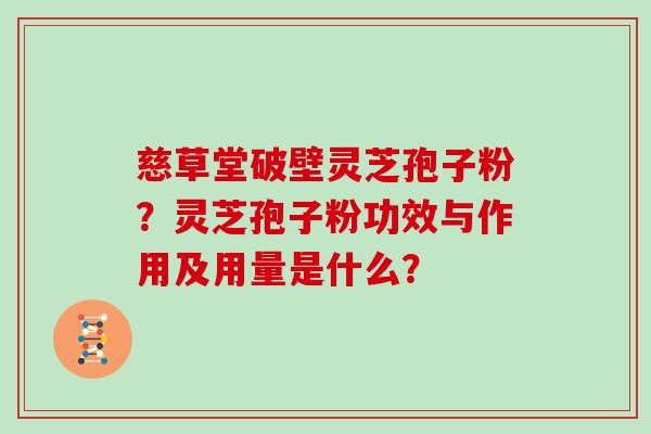慈草堂破壁灵芝孢子粉？灵芝孢子粉功效与作用及用量是什么？