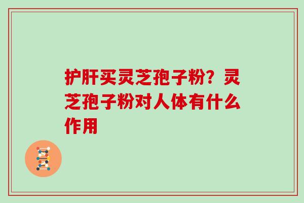 买灵芝孢子粉？灵芝孢子粉对人体有什么作用