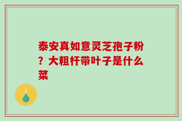 泰安真如意灵芝孢子粉？大粗杆带叶子是什么菜
