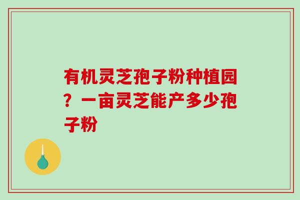 有机灵芝孢子粉种植园？一亩灵芝能产多少孢子粉