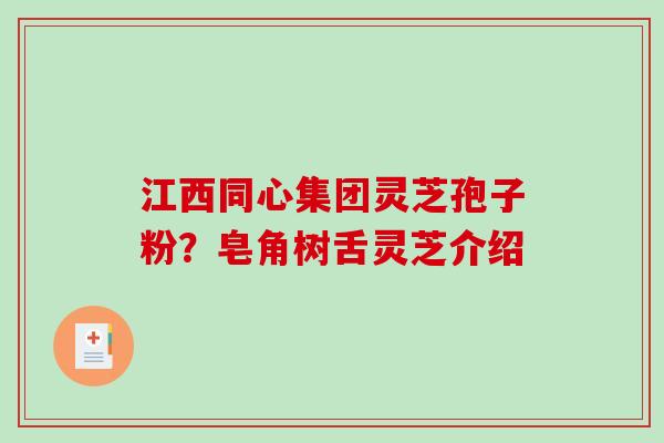 江西同心集团灵芝孢子粉？皂角树舌灵芝介绍