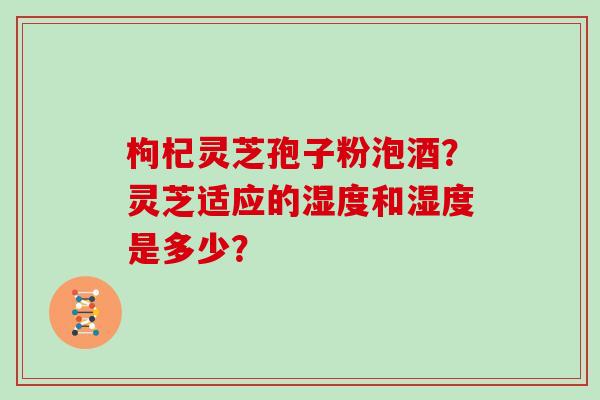 枸杞灵芝孢子粉泡酒？灵芝适应的湿度和湿度是多少？