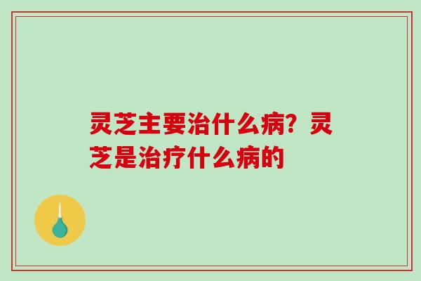 灵芝主要什么？灵芝是什么的