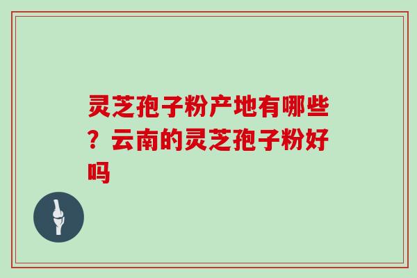 灵芝孢子粉产地有哪些？云南的灵芝孢子粉好吗