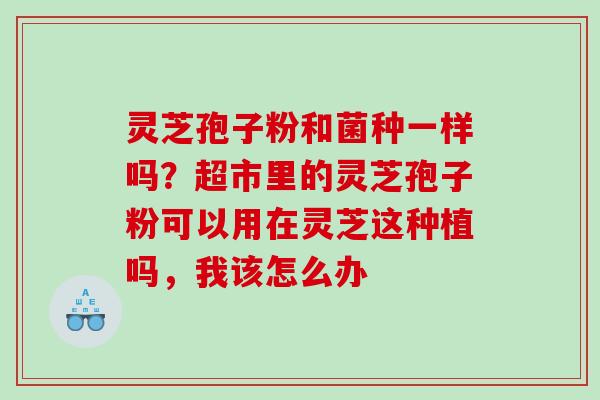 灵芝孢子粉和菌种一样吗?超市里的灵芝孢子粉可以用在灵芝这种植吗,我该怎么办 灵芝孢子粉和菌种一样吗?超市里的灵芝孢子粉可以用在灵芝这种植吗,我该怎么办