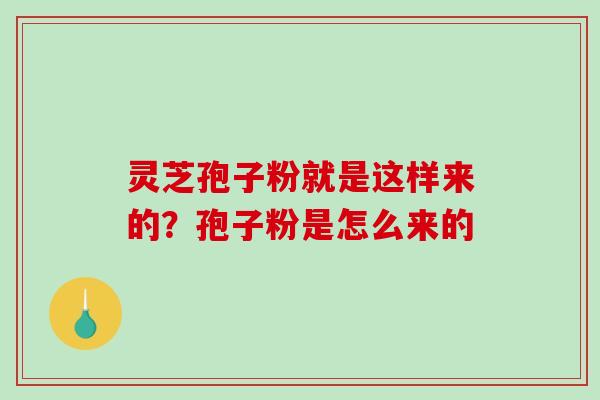 灵芝孢子粉就是这样来的？孢子粉是怎么来的