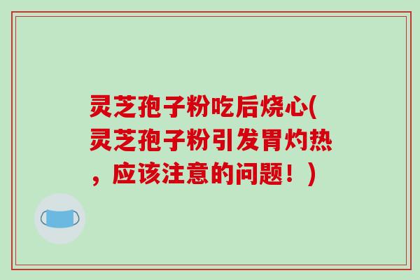 灵芝孢子粉吃后烧心(灵芝孢子粉引发胃灼热,应该注意的问题!) 灵芝孢子粉吃后烧心(灵芝孢子粉引发胃灼热,应该注意的问题!)