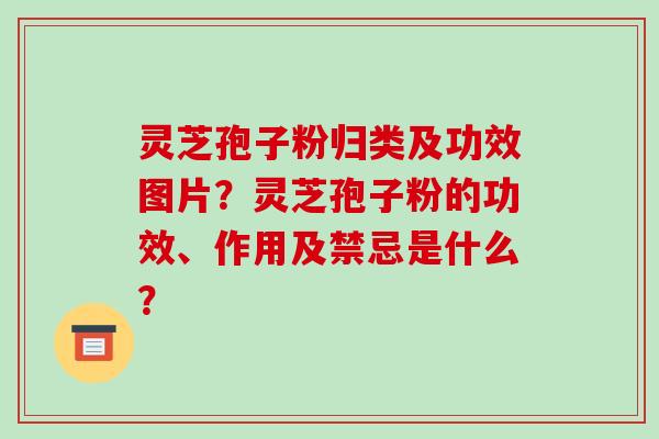 灵芝孢子粉归类及功效图片?灵芝孢子粉的功效、作用及禁忌是什么? 灵芝孢子粉归类及功效图片?灵芝孢子粉的功效、作用及禁忌是什么?