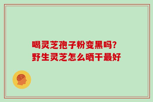 喝灵芝孢子粉变黑吗？野生灵芝怎么晒干好